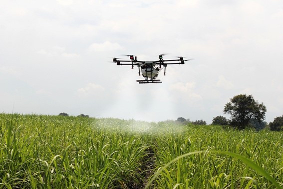 Nuevas tecnologías al servicio de la sostenibilidad agrícola